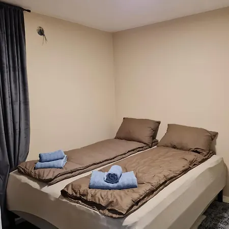 Your Arctic House *